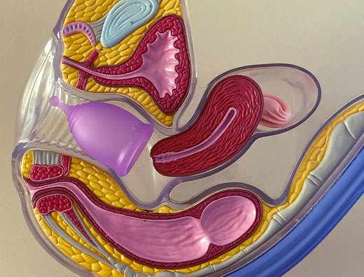 Cómo poner la copa menstrual correctamente.
