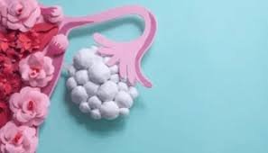 Copa menstrual